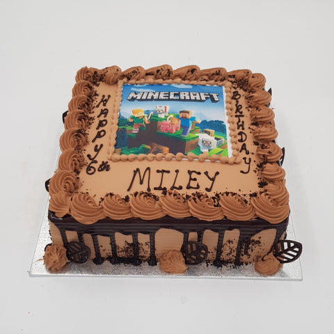 Minecraft Picture Cake