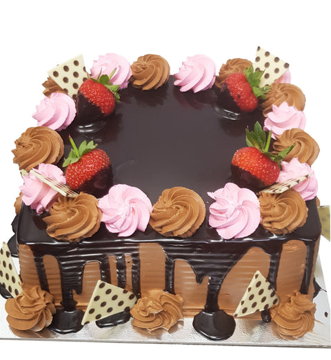 Chocolate Square Cake