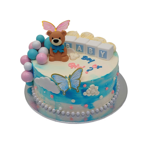 Boy or girl Baby Shower Cake