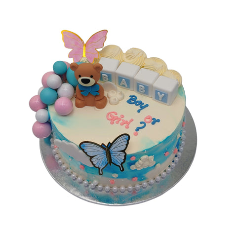 Boy or girl Baby Shower Cake