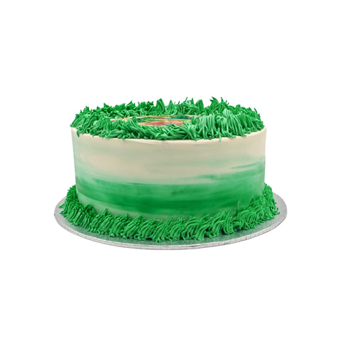 Dino Garden Cake