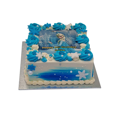 Elsa Birthday Bash